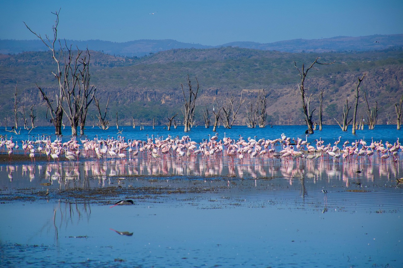 lake Nakuru park