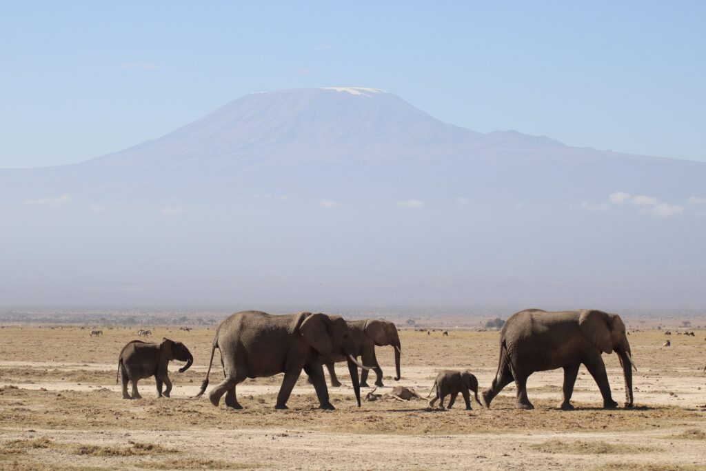Amboseli National Park