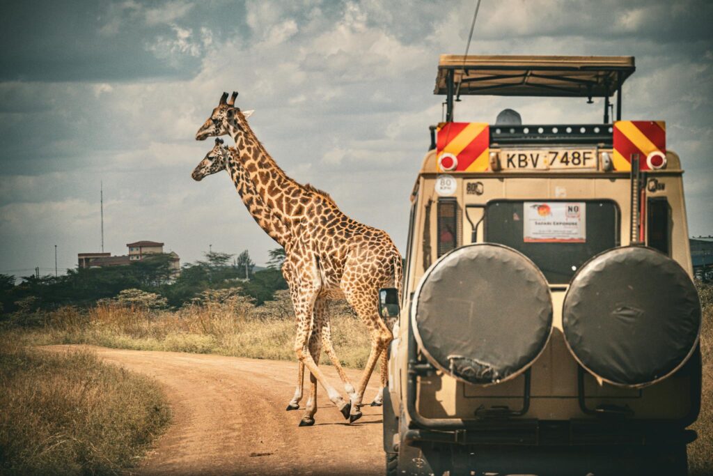 safari in kenya
