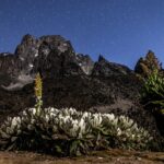 hiking mount kenya
